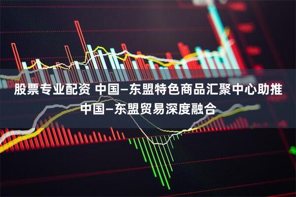股票专业配资 中国—东盟特色商品汇聚中心助推中国—东盟贸易深度融合